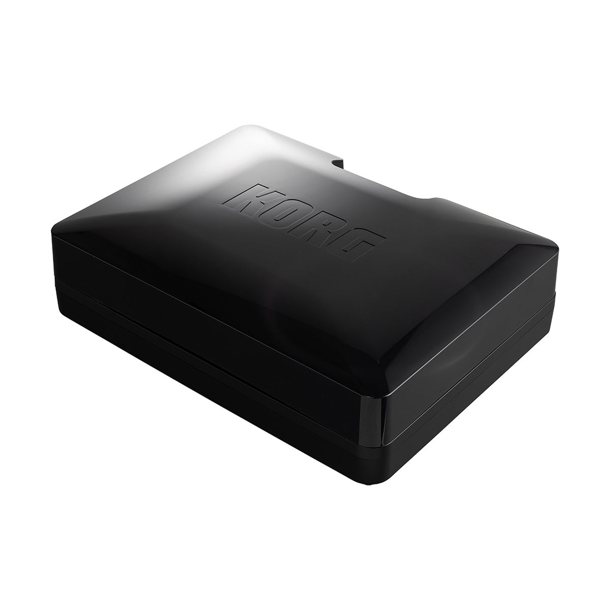 Korg Handytraxx Tube