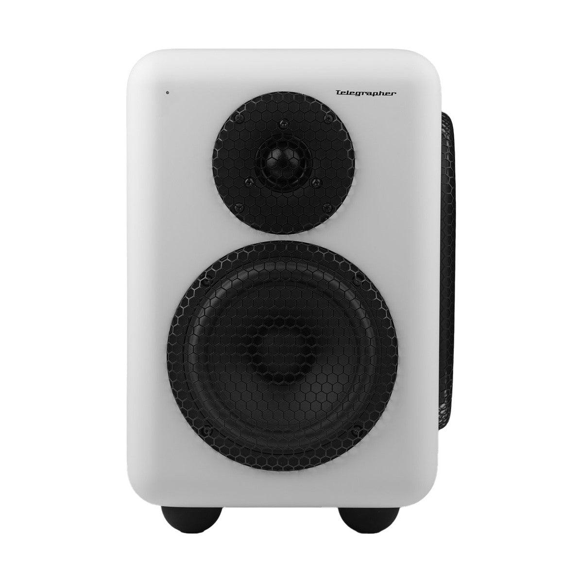 Telegrapher Raccoon - Aktiver 2-Wege-Studiomonitor