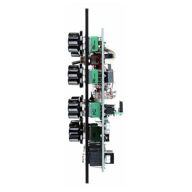 Erica Synths Fusion Delay/Flanger/Vintage Ensemble