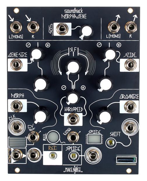 Faire du bruit morphogène