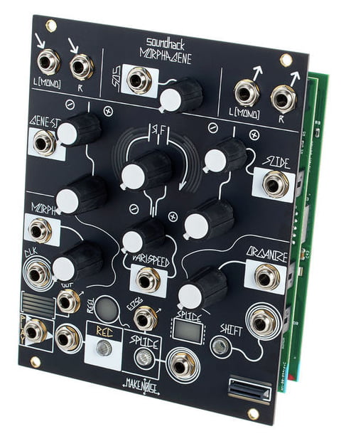 Faire du bruit morphogène