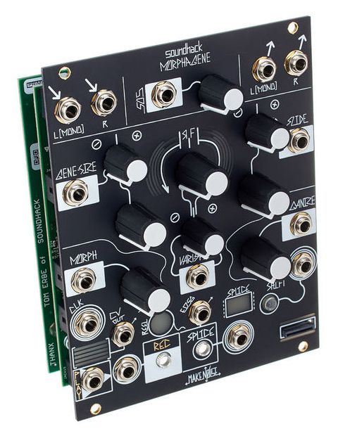 Faire du bruit morphogène