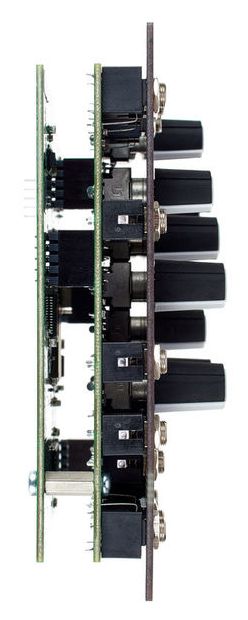 Faire du bruit morphogène