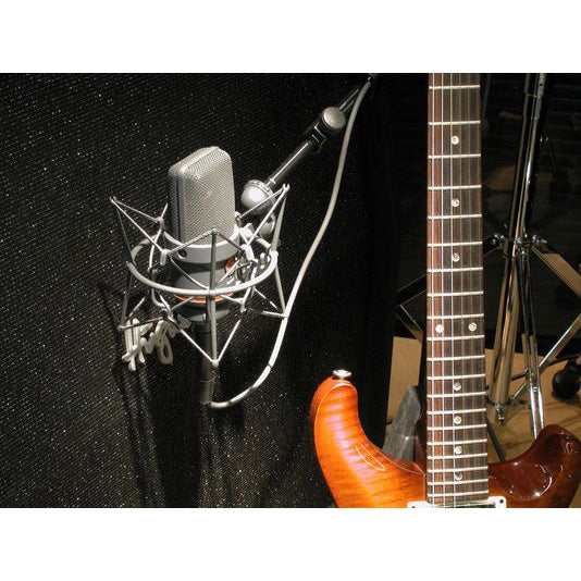 Neumann TLM 170 R mt Stereoanlage