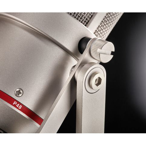 Neumann TLM 170 R mt Stereoanlage