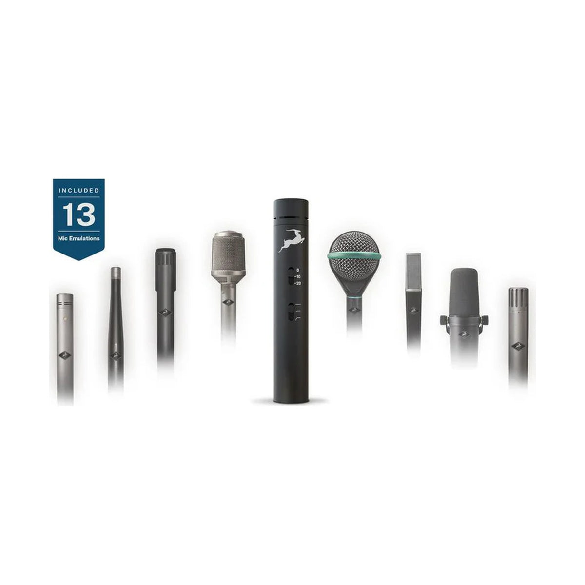 Note de bord audio antilope 