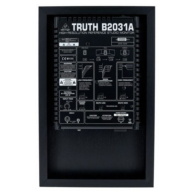 Behringer TRUTH B2031A (Singles)